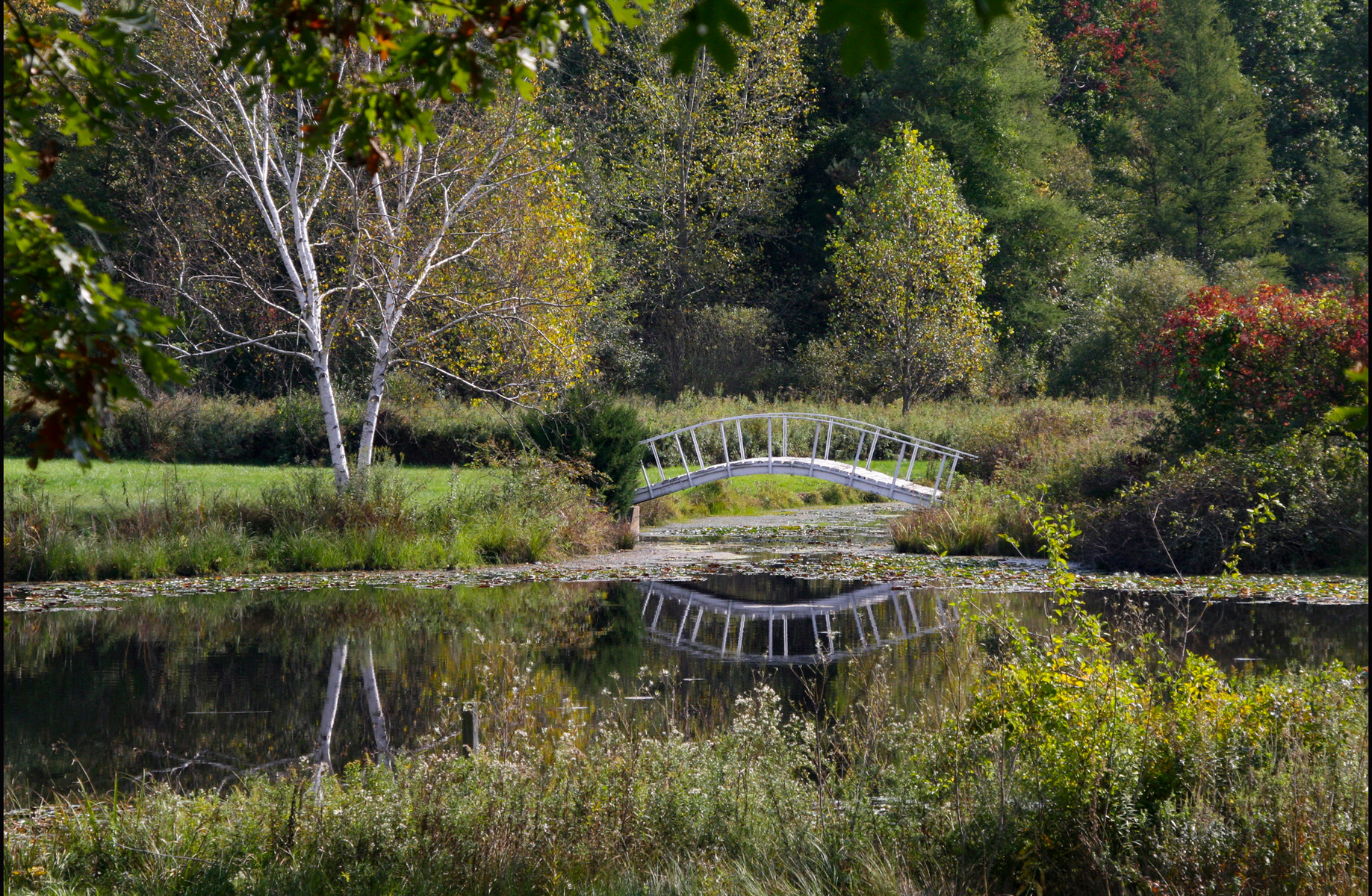 Chelsea bridge