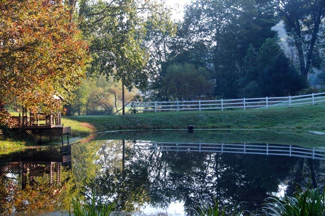 serenity pond