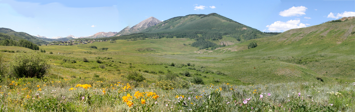 co_P_Crested Butte.