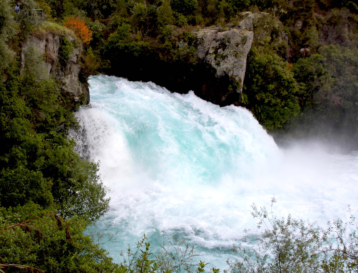 hula falls at the front