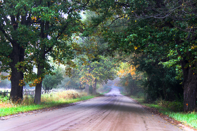 country road_044