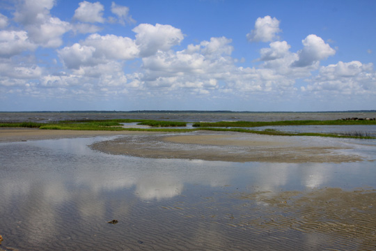 landscape south gallery