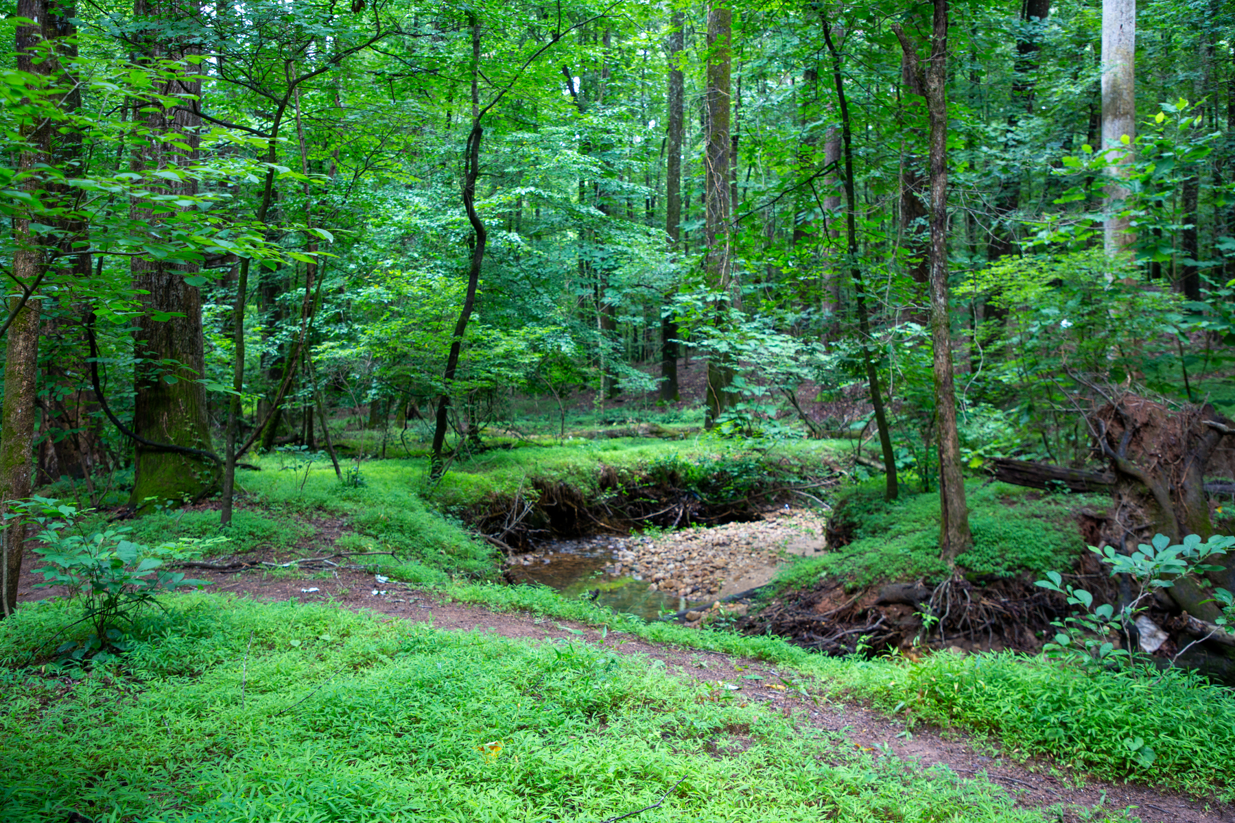 dried river bend