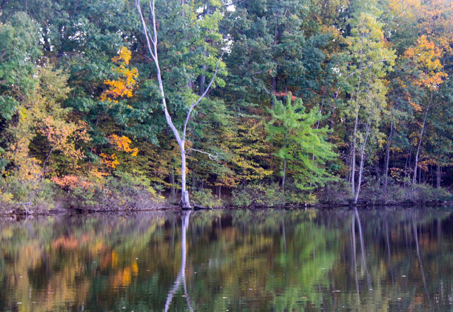 Huron River Bank