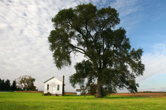 mi_Chelsea schoolhouse_3996.