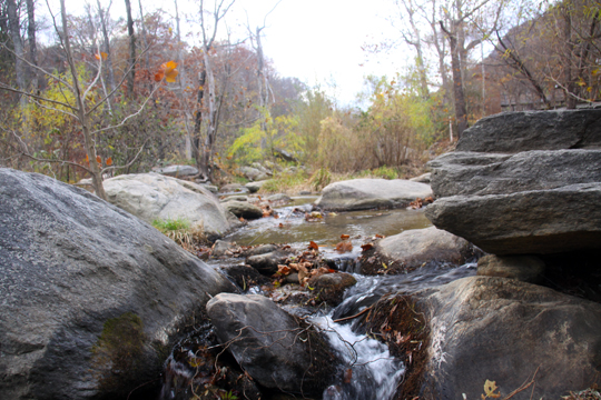 nc_Chimney Rock 115