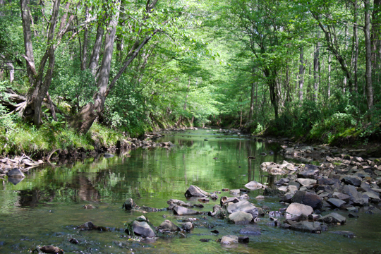 nc_Margarete Wallace Creek071