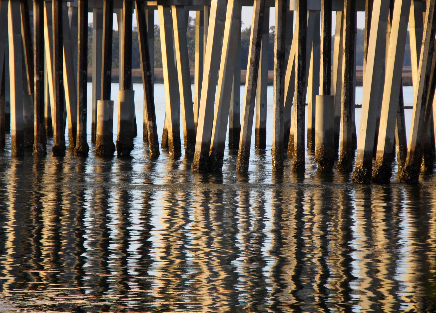 At Pinckney Pier