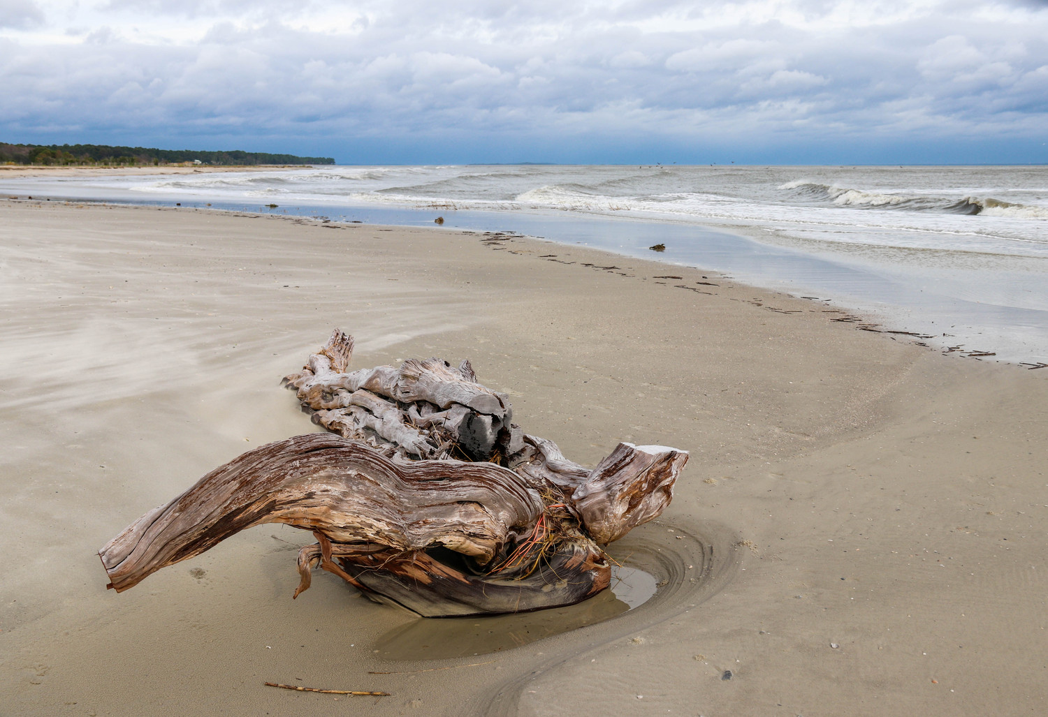 driftwood II