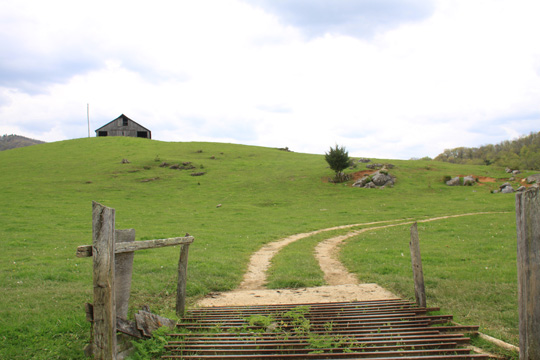 landscapes south gallery