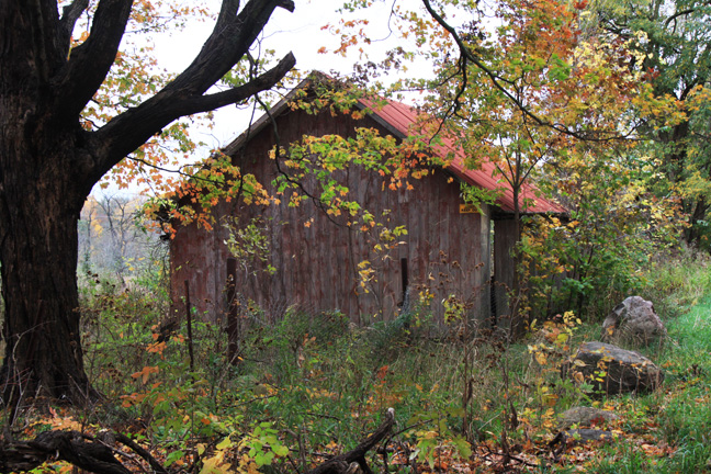 mi_old shed_141