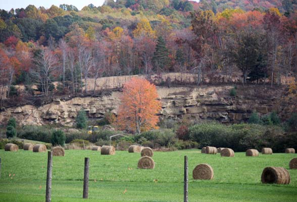 wv_Hayfield among cliff_ 099