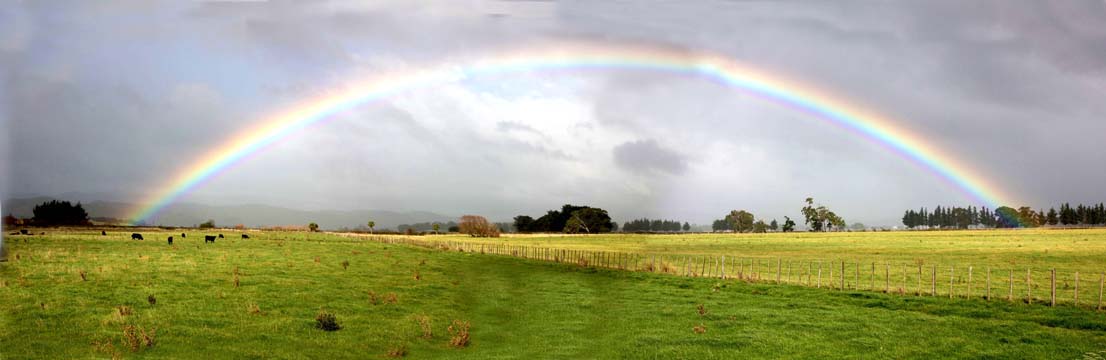 nz_p_rainbow2.