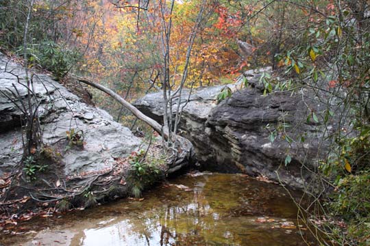 landscape-south-northcarolina