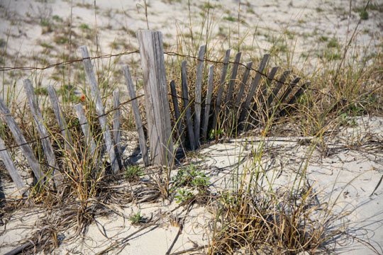 ga_sand fence_052