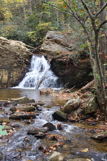 landscape-south-northcarolina