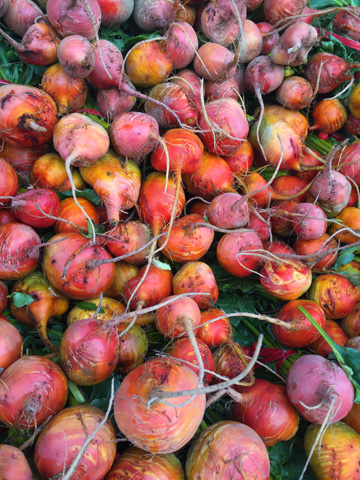 yellow beets