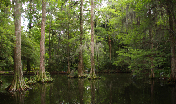 sc_Standing on the water_ 258