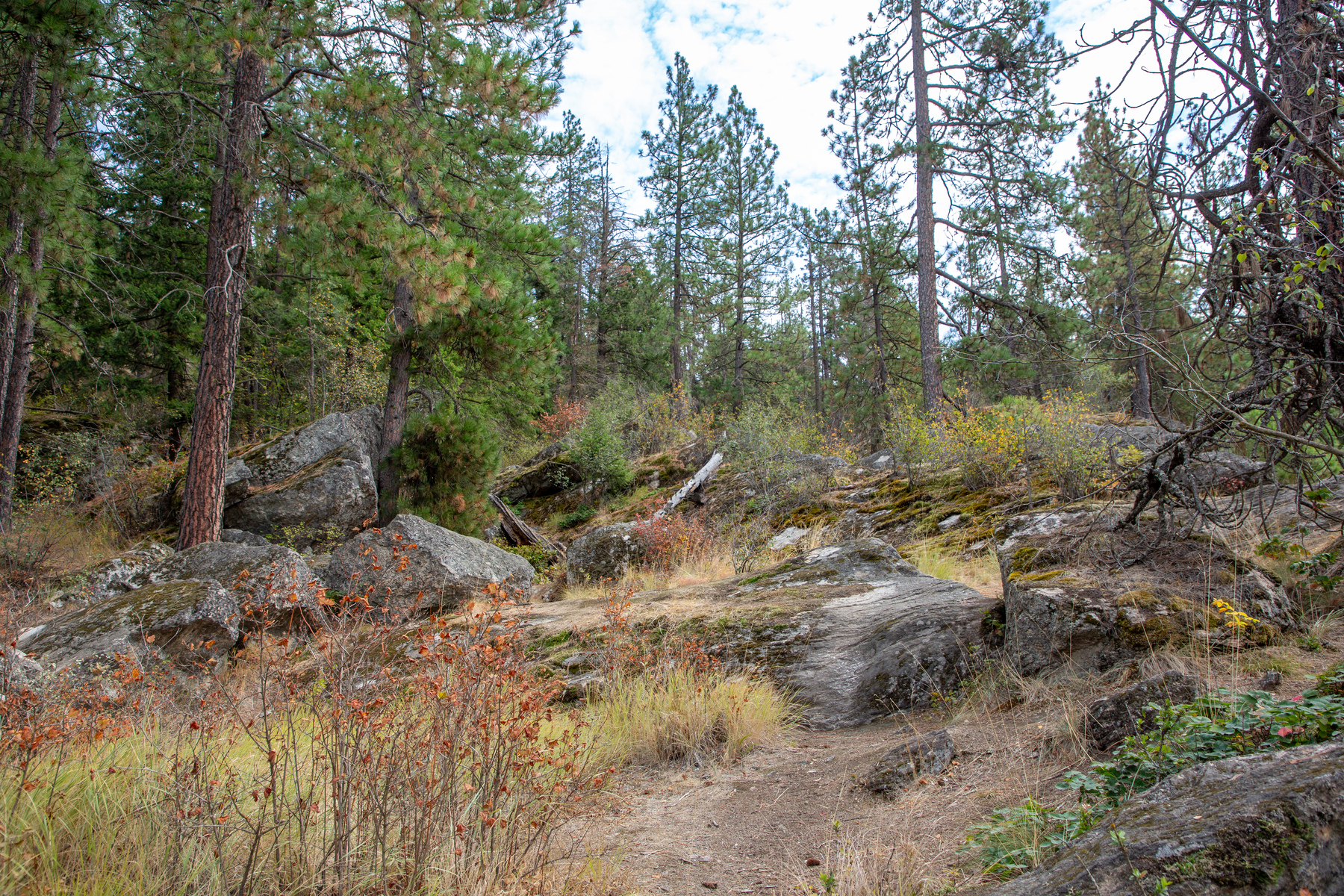 rocky path