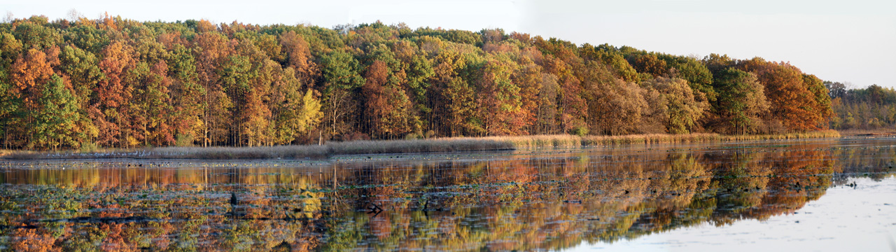 mi_P_Marsh Lake III