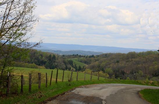 landscape south gallery