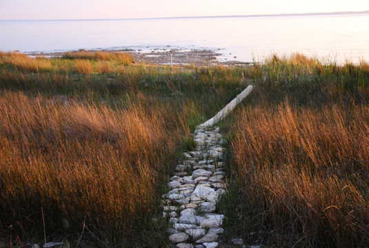 mi_Footpath to the beach 226