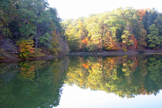 in_Stowe lake_0051