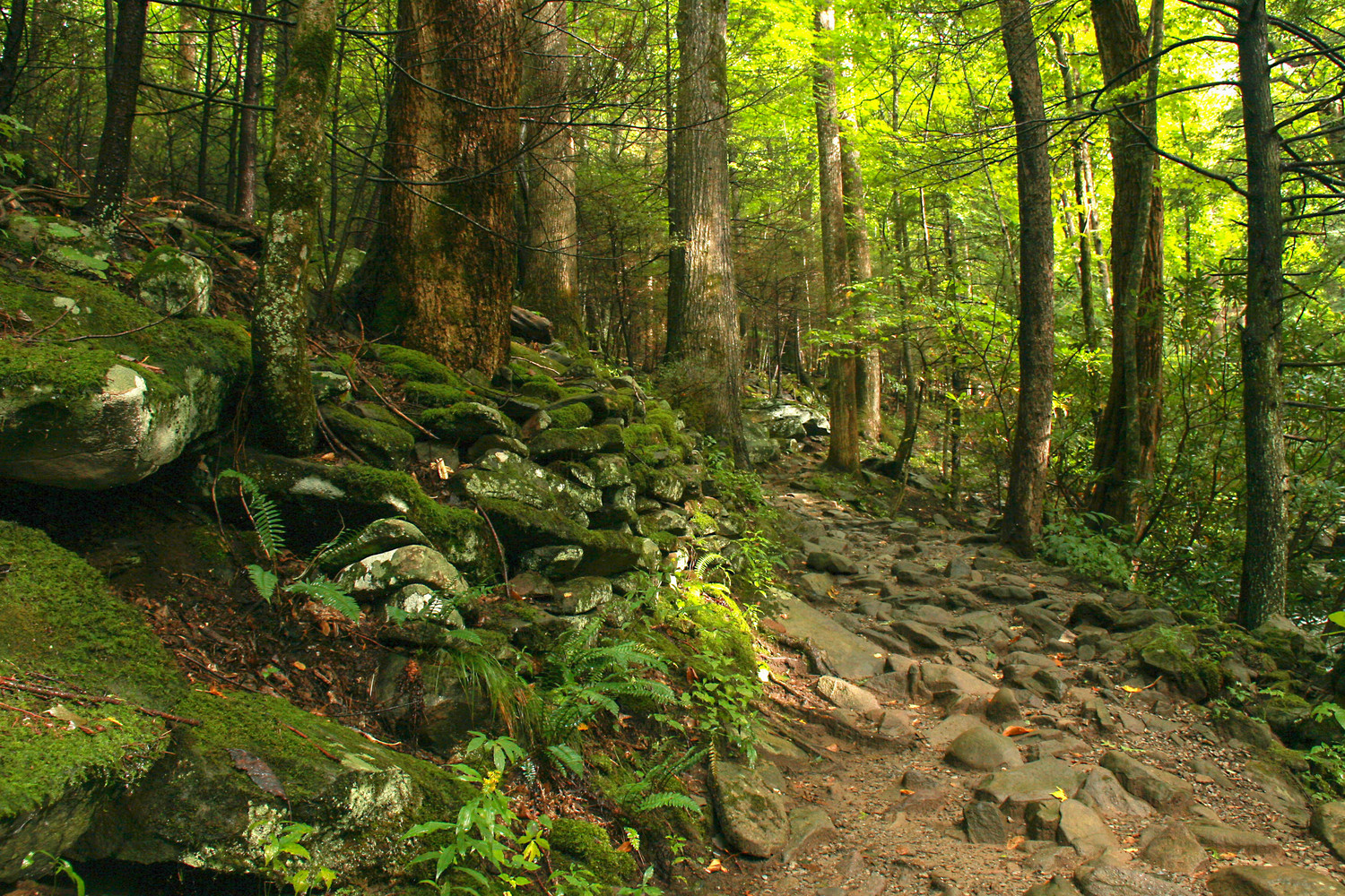 the rocky pathway