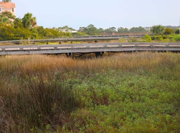 bridge to the beach_001