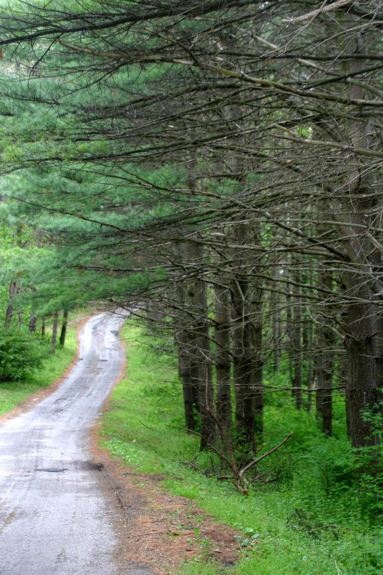 maryland pathway