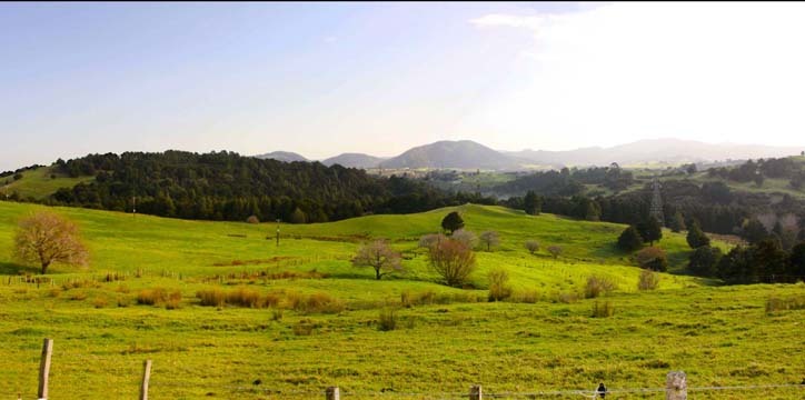 farmfields