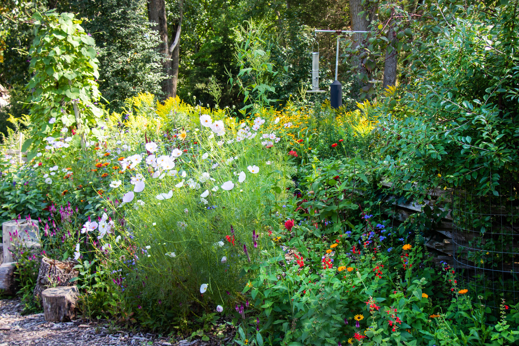 the childrens garden