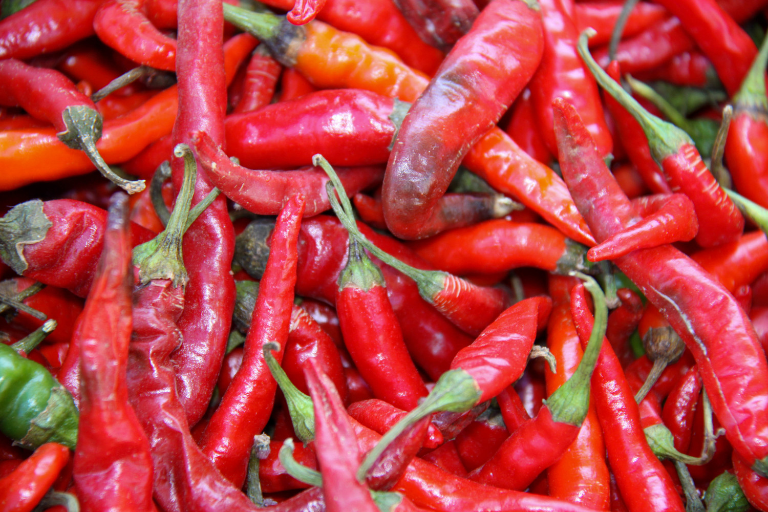 a bucket of peppers