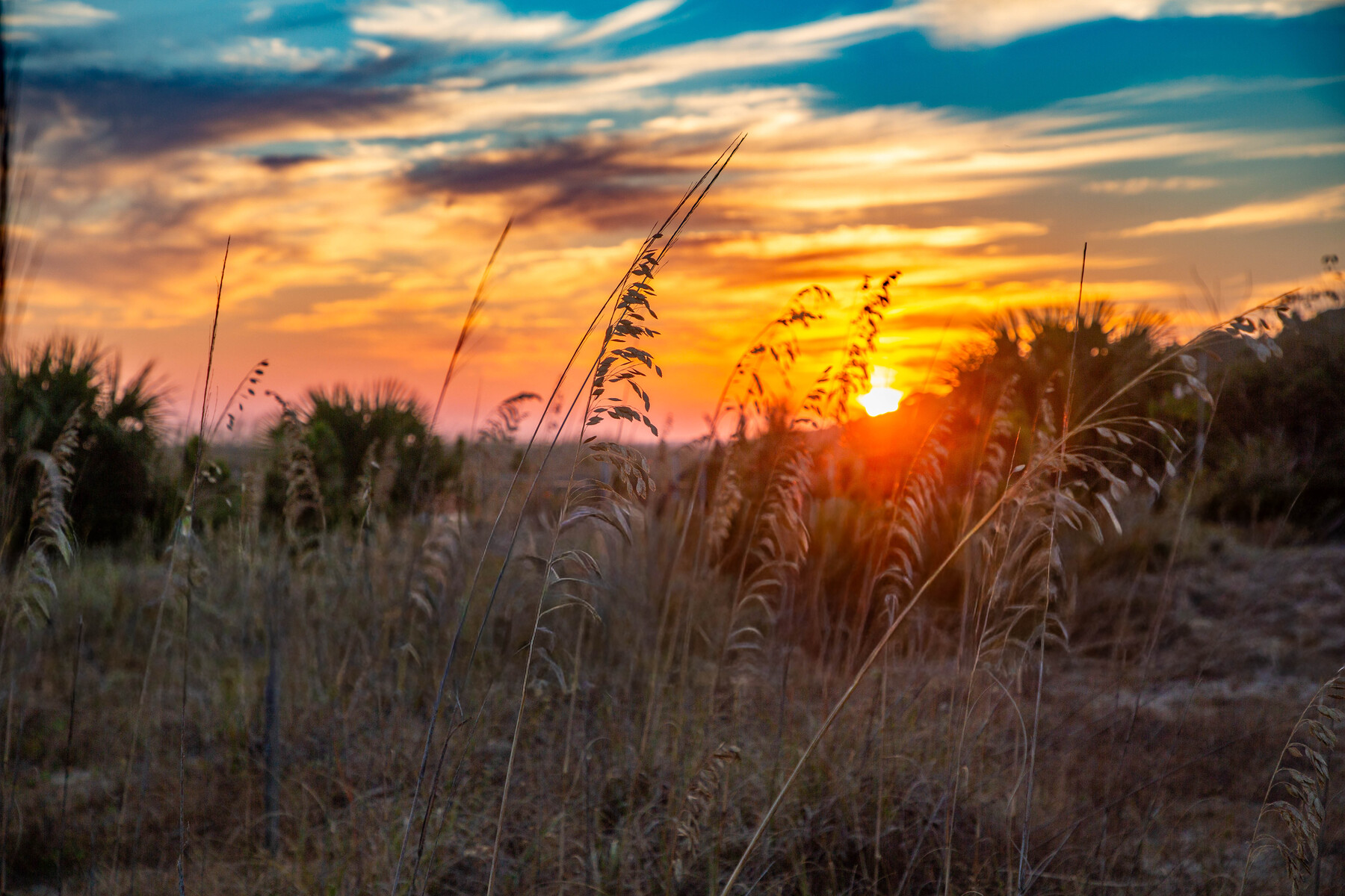 november sunset on HHI
