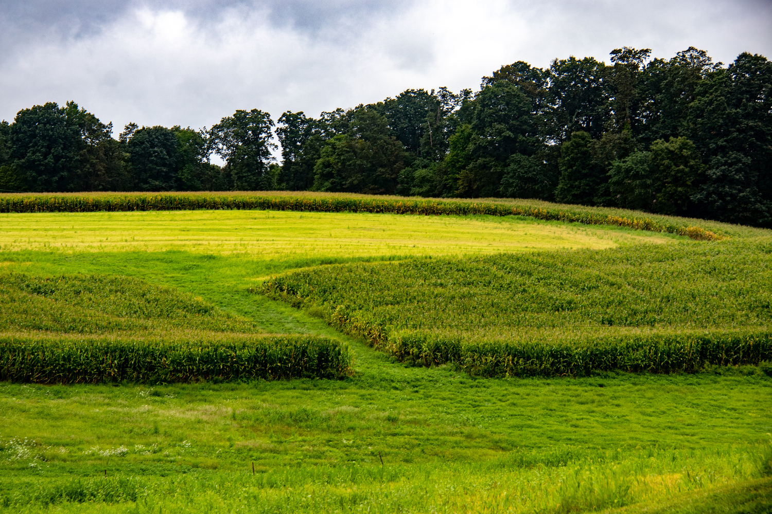 md_getting creative in mowing