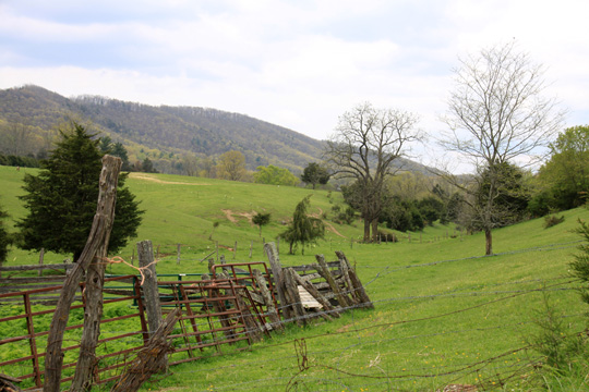 landscape south gallery