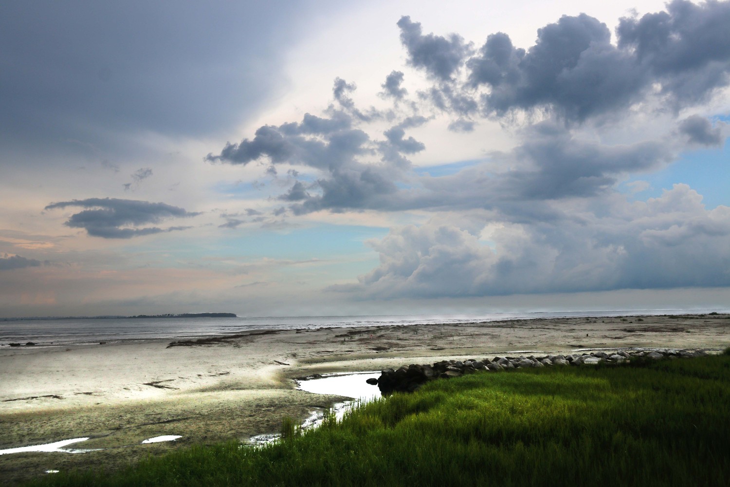 green marsh grass with clouds