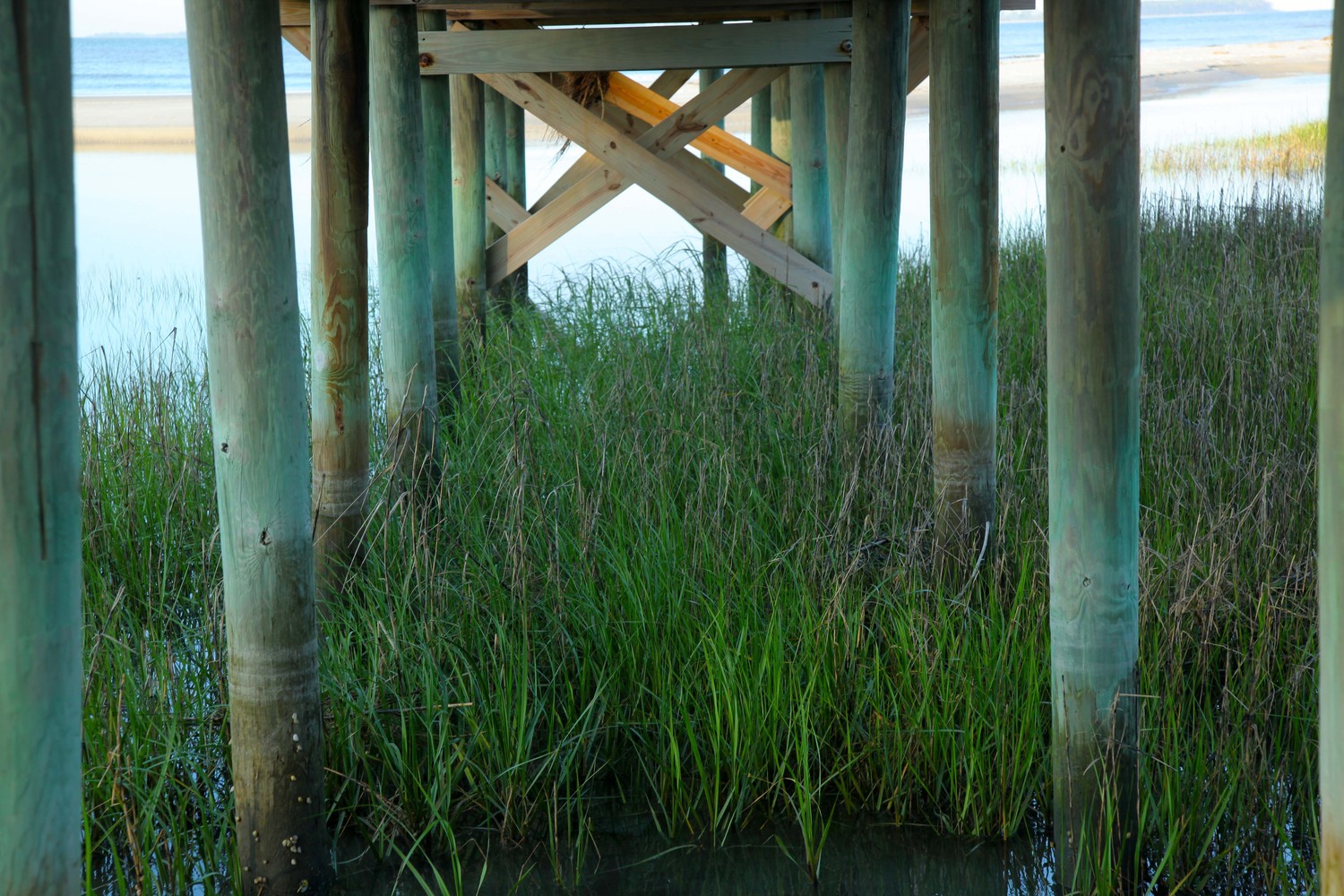 under the pier