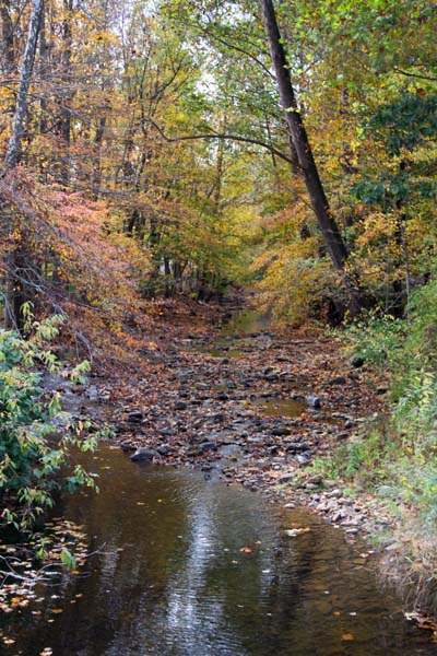 va_Creekbed_ 085