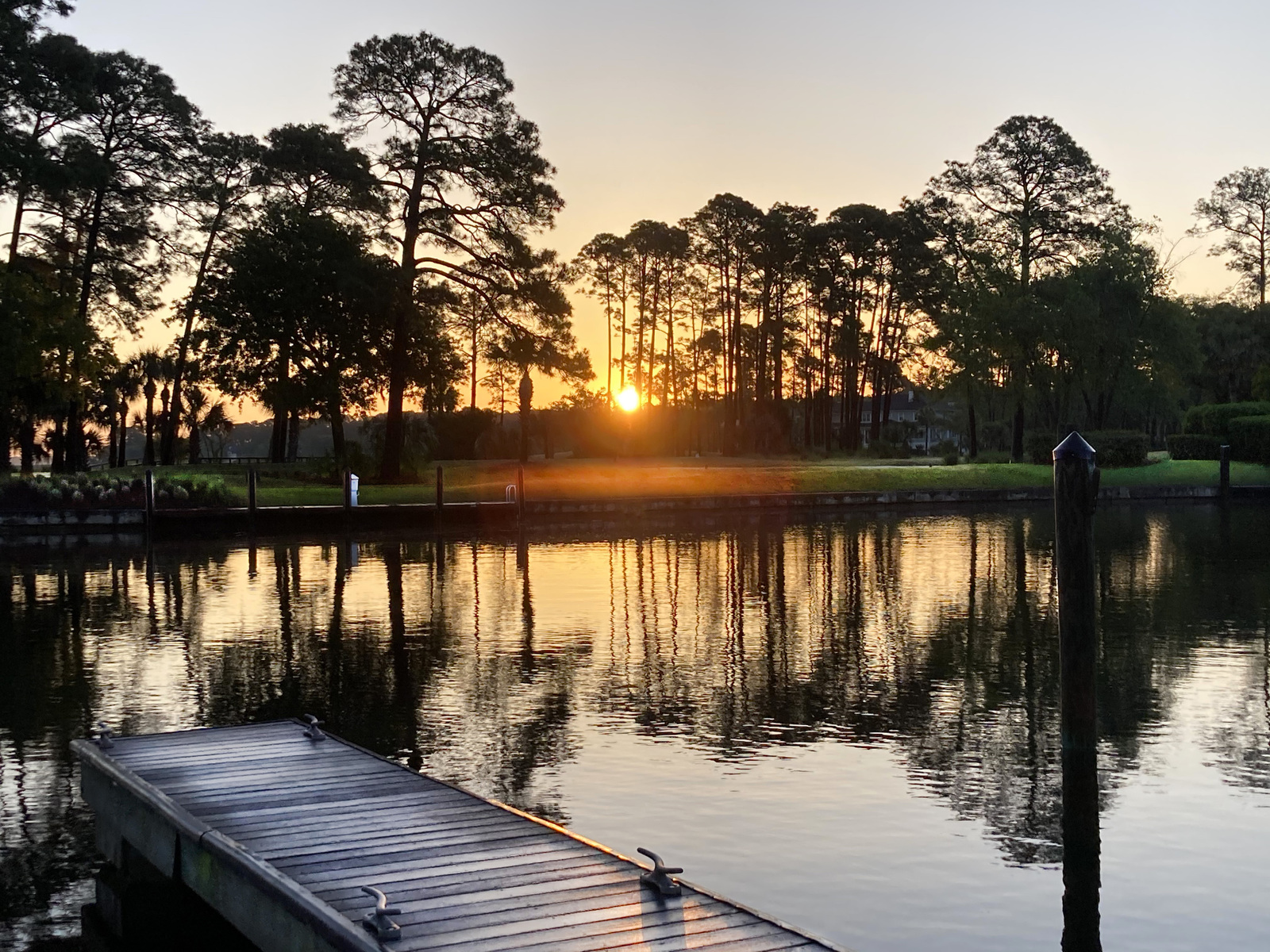 Sunrise on Stein road