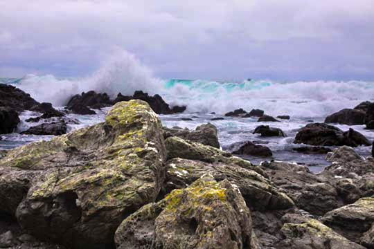 waves crashing in NZ