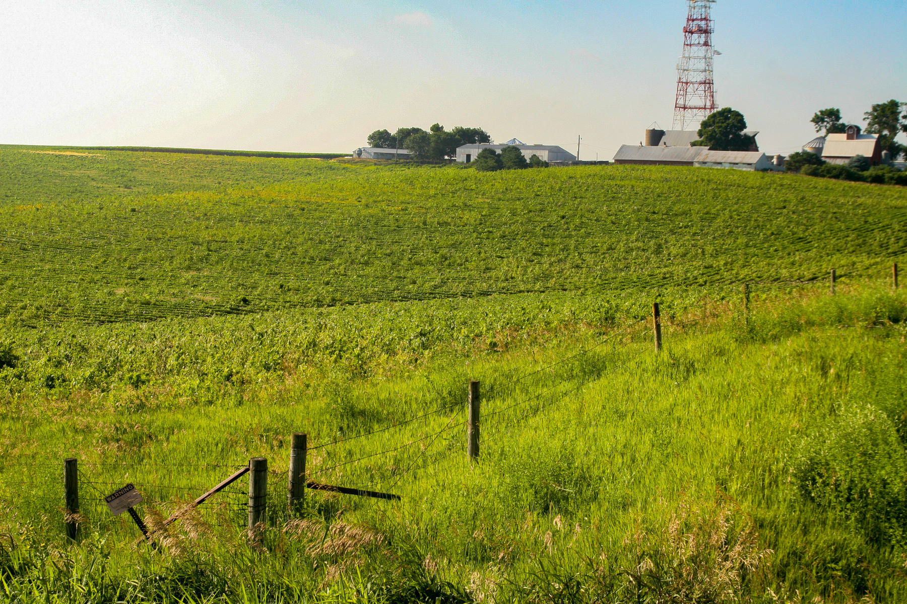 ia_ farm field 2