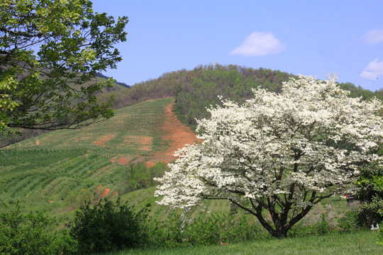 landscape south gallery