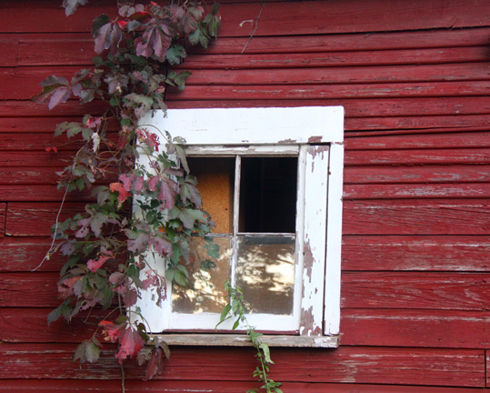 mi_barn window_137