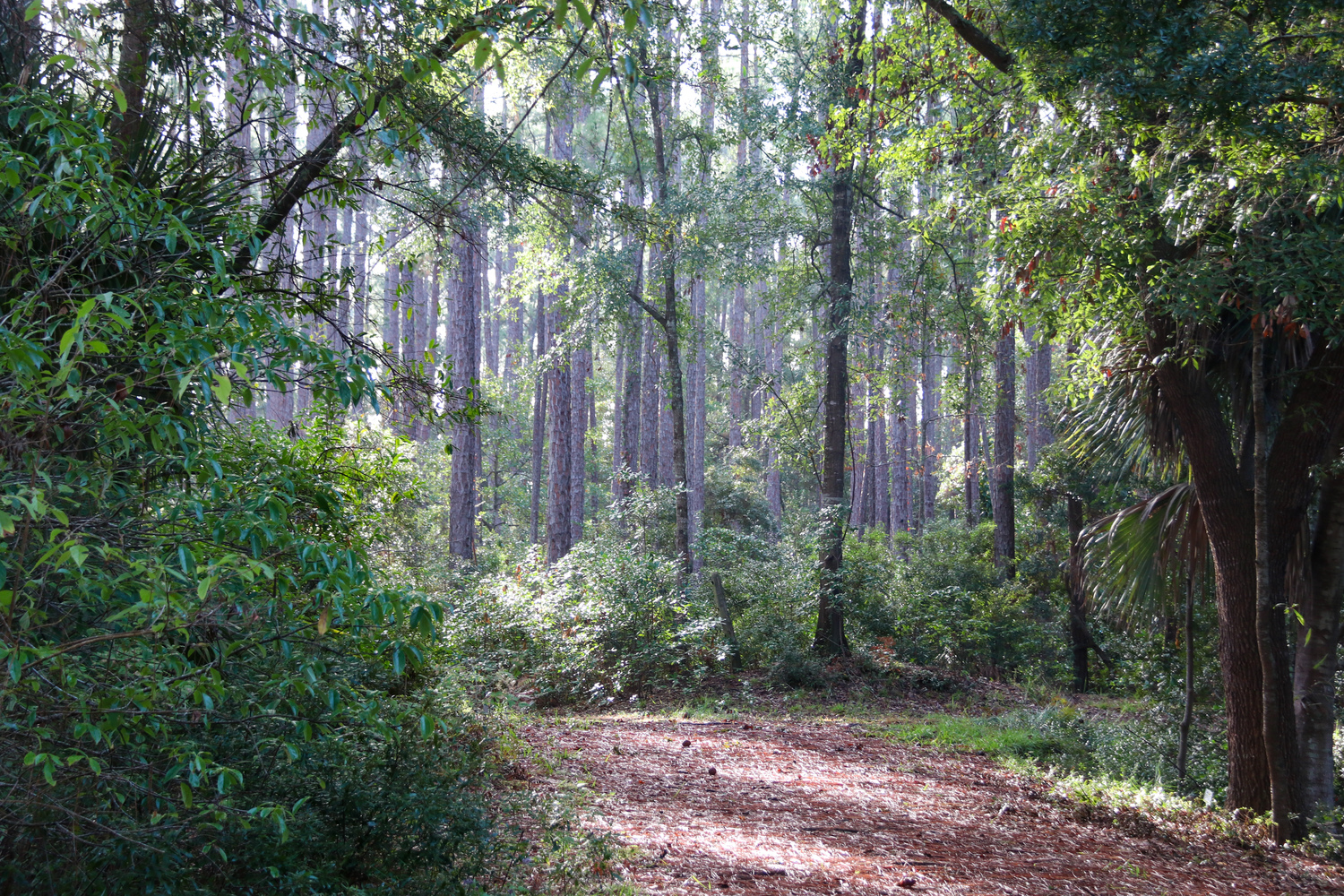 along the path