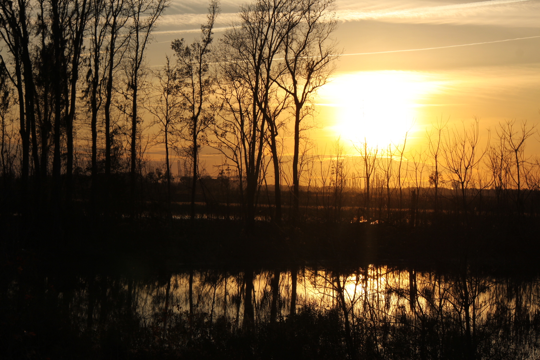 Sunset at Stein Road