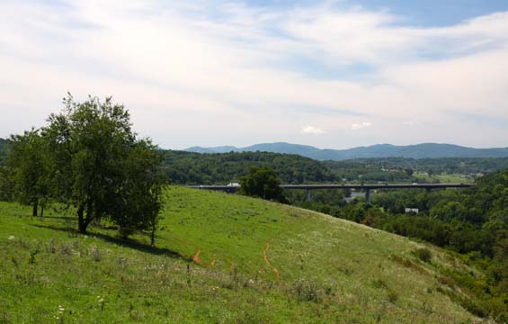 _va_Overlooking the highway from a hilltop_ 084