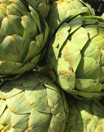 artichoke