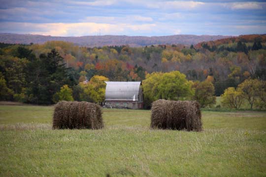 mi_2 Bales_ 046