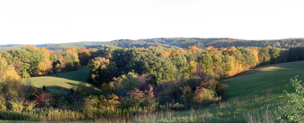 in_P_Overlook